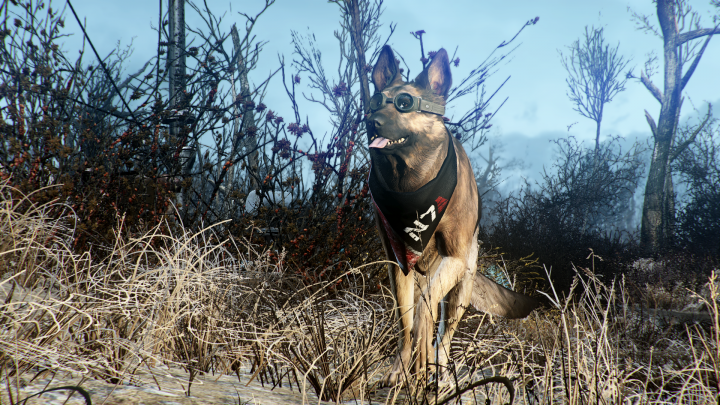 Fallout4 2015-11-24 22-28-15-78