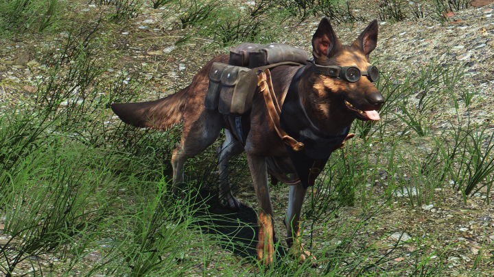 Fallout4 2016-02-20 20-03-28-67